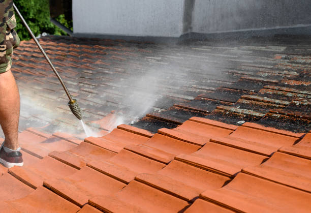 Best Residential Pressure Washing Services  in Waxahachie, TX