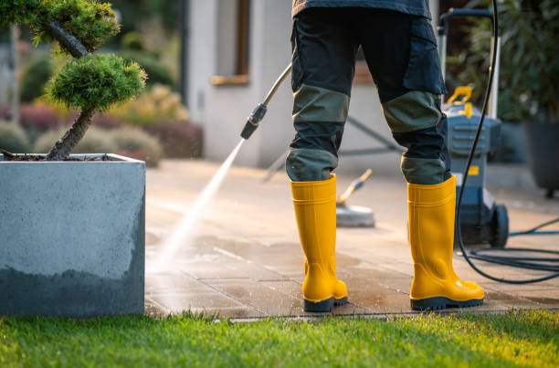 Best House Pressure Washing  in Waxahachie, TX